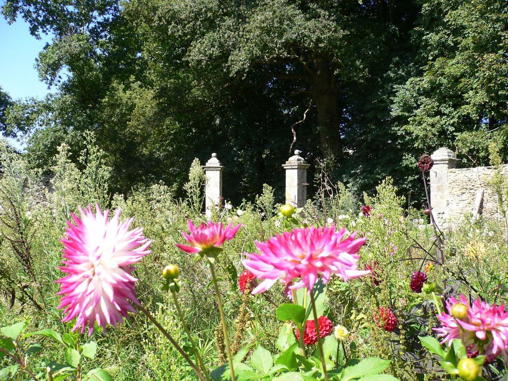 Château de la Marronnière Bed and Breakfast Aizenay Esterno foto